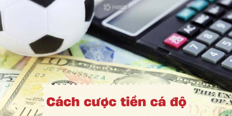 Khám phá dịch vụ chăm sóc khách hàng mb chuyên nghiệp cùng những lợi ích vượt trội từ chăm sóc khách hàng mb