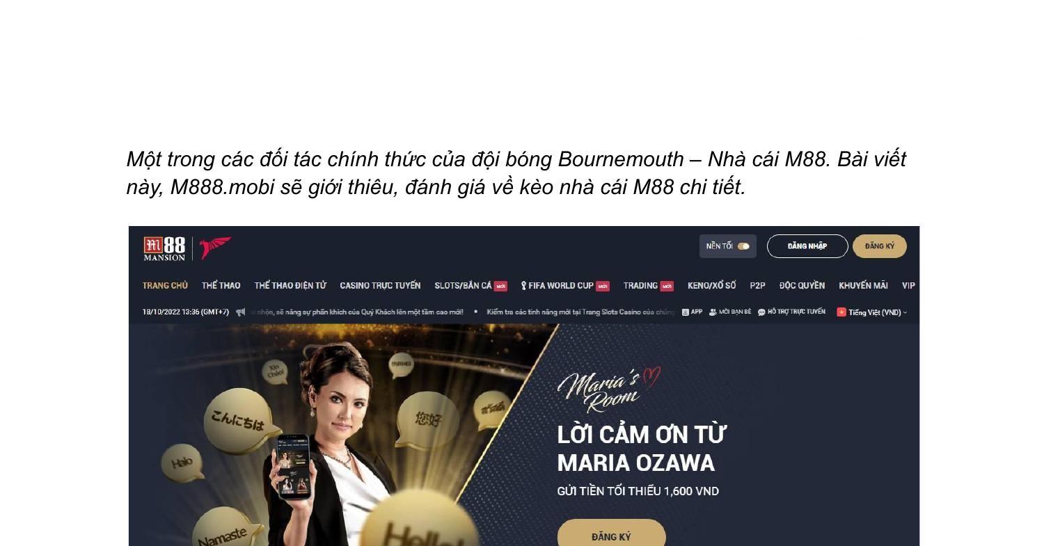 Xem bóng đá hôm nay cùng các trận cầu hấp dẫn và tin tức nóng về xem bóng đá hôm nay
